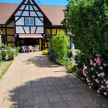 Alsace *