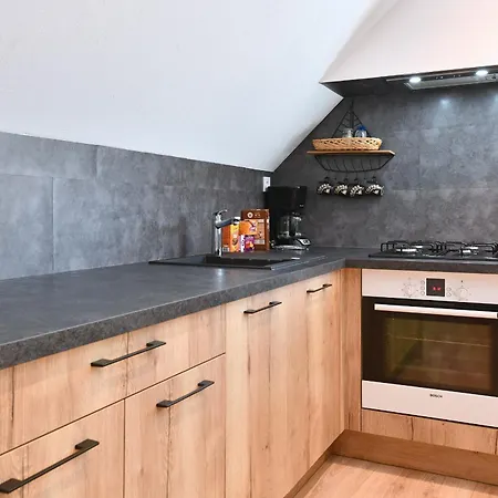 Du Parc Apartment Appenwihr
